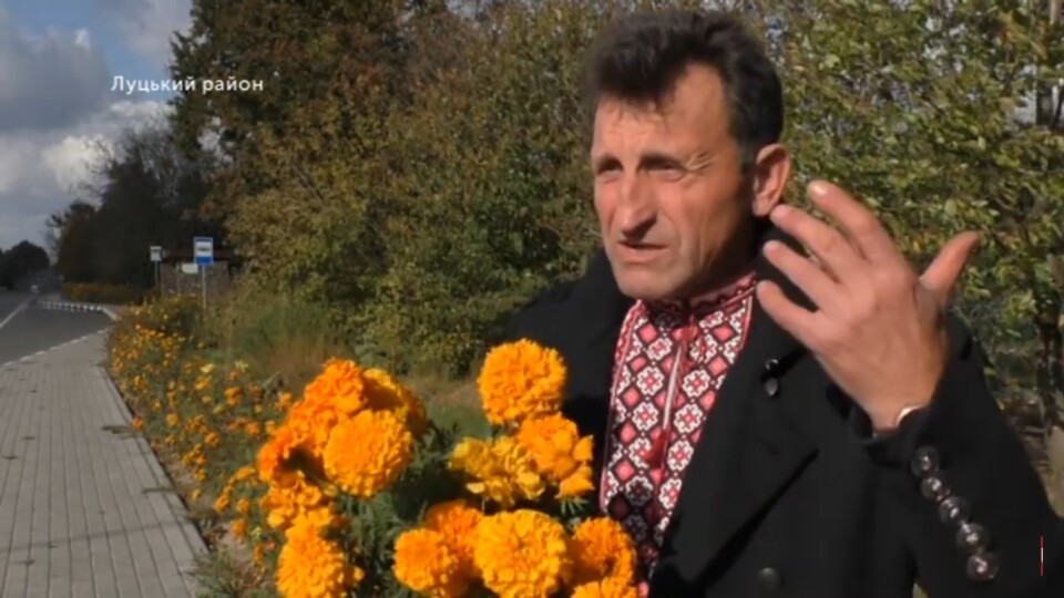 Де були бур'яни – там тепер квіти. Волинянин засадив соняхами і чорнобривцями 700 кілометрів узбіч