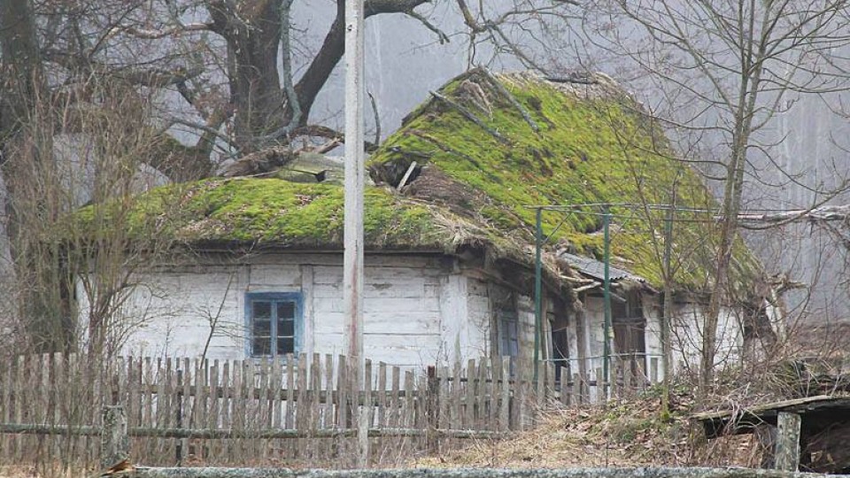 Неіснуюче село, дика природа та старий цвинтар:  історія подорожі волинським Поліссям. ФОТО