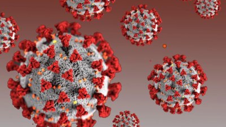 Коронавірус на Волині: 238 нових хворих та три смерті