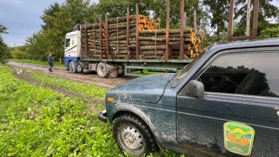 На Волині виявили незаконну вирубку лісу