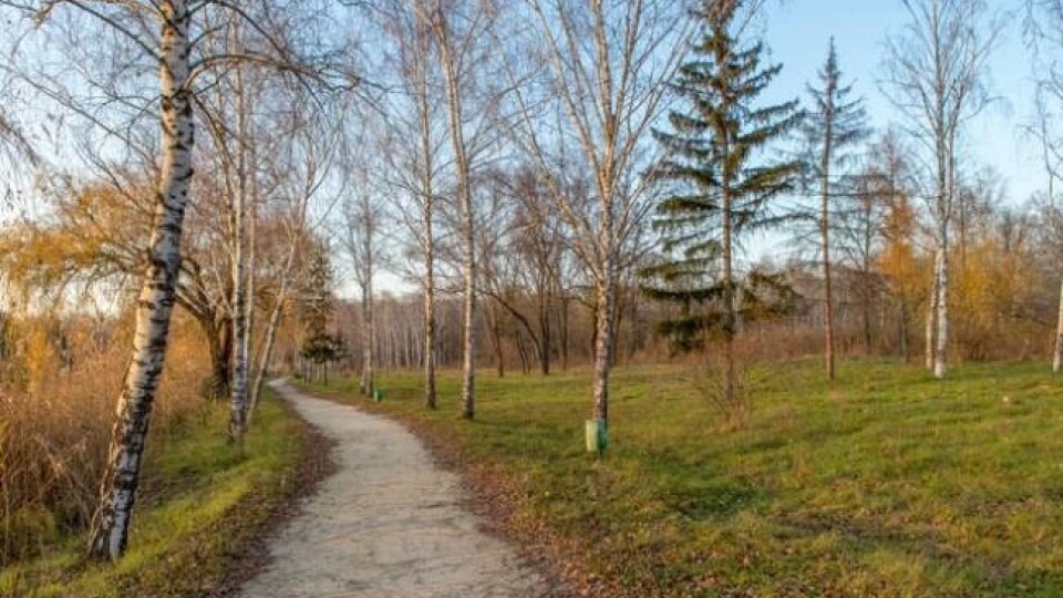 Фахівці розповіли, чому тепла зима