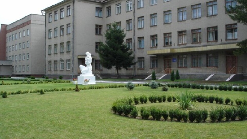 «Є вже 15 чоловік, які готові працювати у госпіталі», – головний лікар луцького пологового