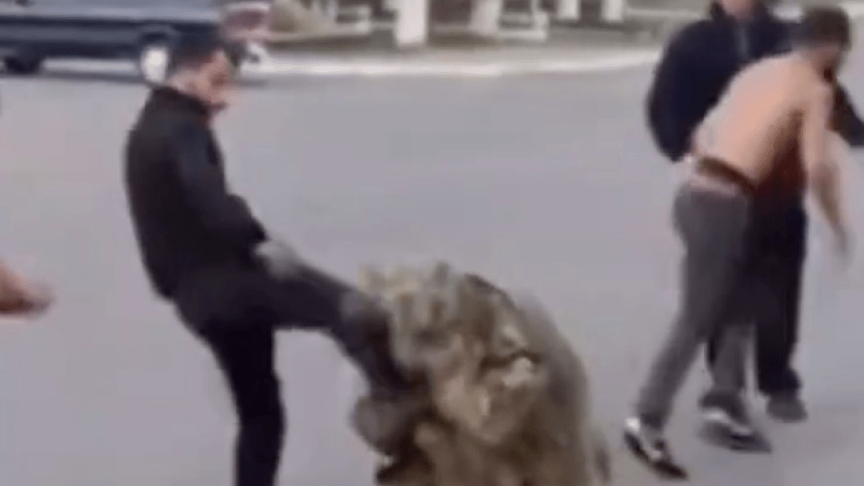 У Торчині побили ветерана АТО