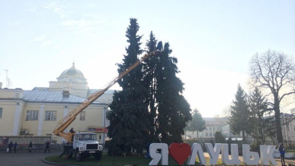 У Луцьку вже прикрашають ялинки