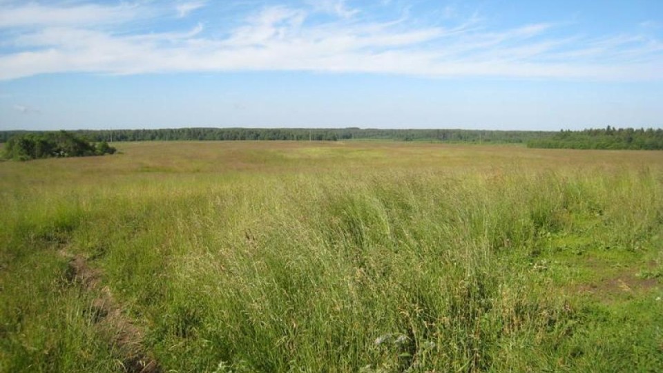 На Волині державі повернули землю вартістю 60 мільйонів гривень