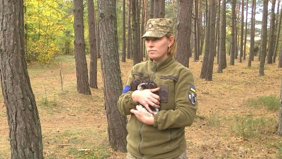 Чергувала в ніч перед початком війни:  військова з волинської тероборони розказала про  службу
