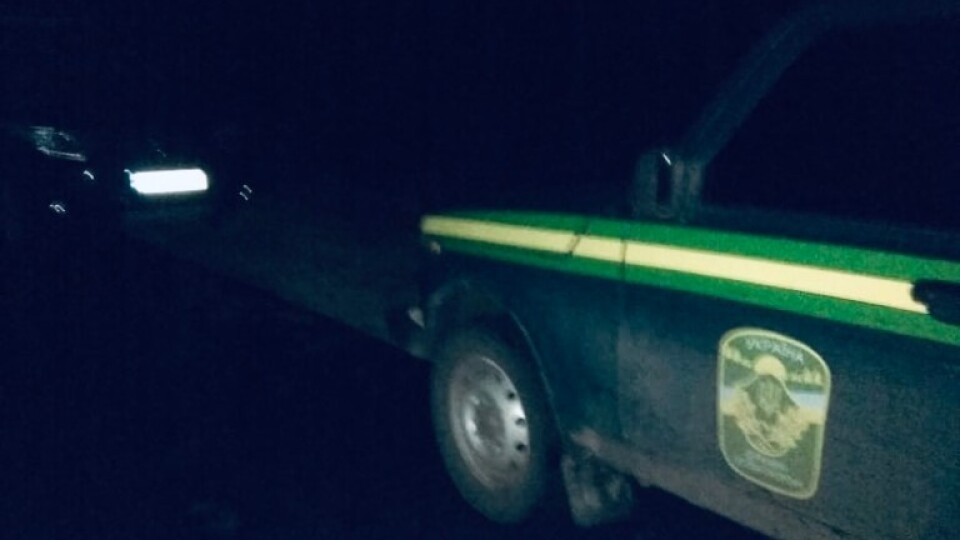 У Шацькому нацпарку двоє чоловіків вбили козулю. Свою вину заперечують