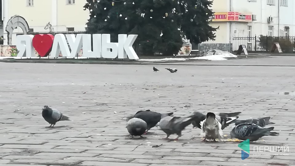 Ранок Нового року у центрі Луцька. ФОТО