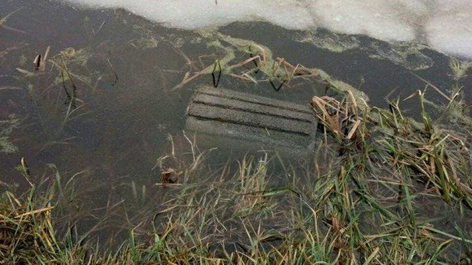 У луцькому парку вандали поскидали смітники у канаву. ФОТО