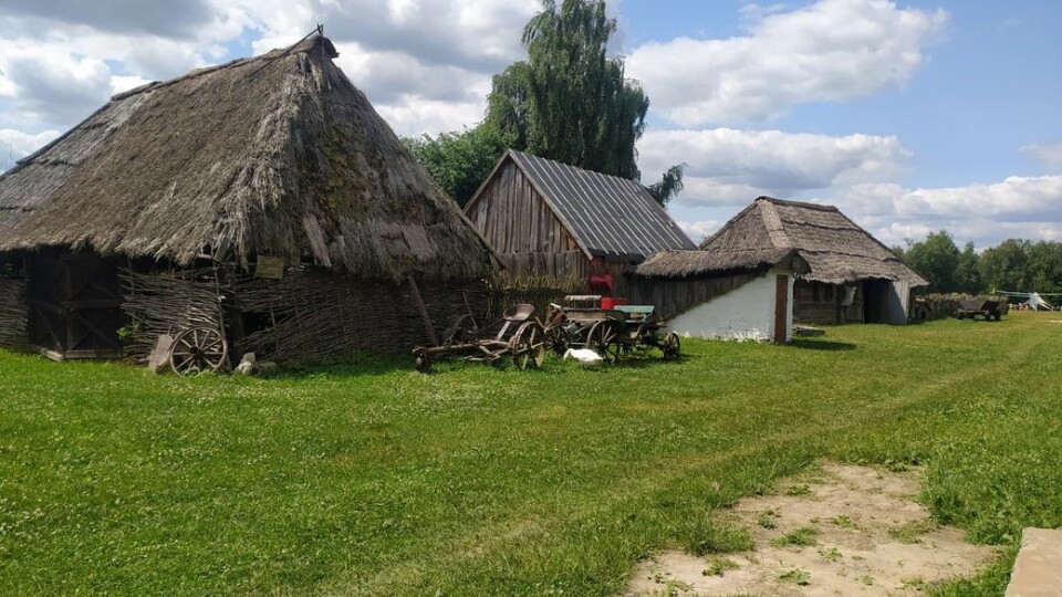 Біля Луцька у музеї-скансені перекривають дах двохсотлітньої хати за старовинною технологією
