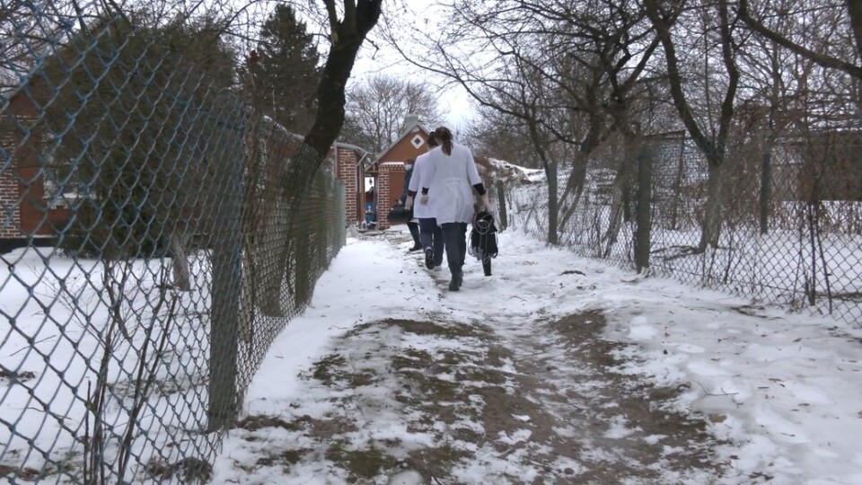«Безплатно і планово». Як на Волині вдома обстежують жителів старших за 80 років