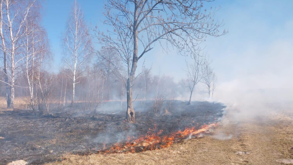На Волині за кілька днів вигоріло понад 1000 га площі