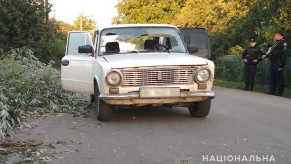Біля Луцька легковик збив п'яного пішохода