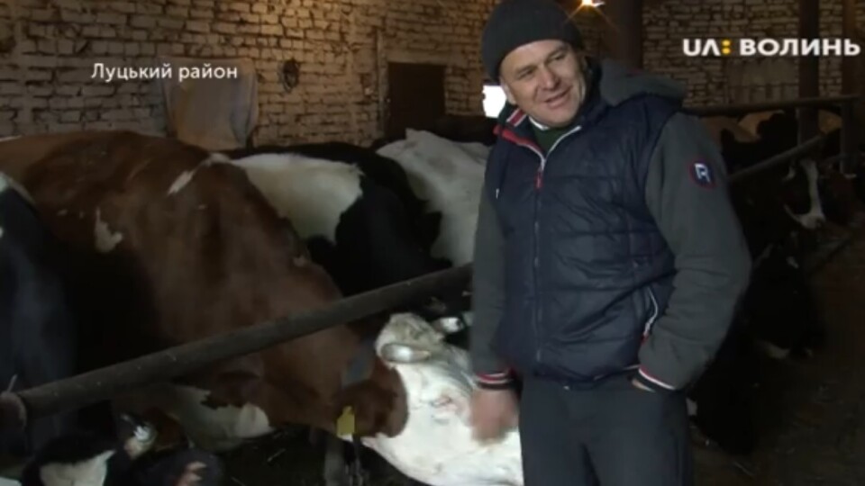 «Працює вдень і вночі». У волинянина в господарстві 30 корів