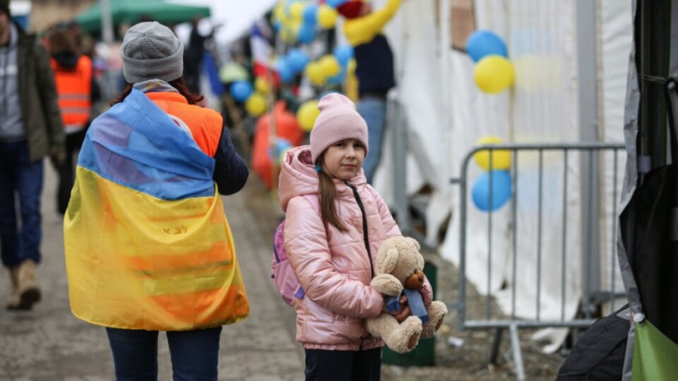 На Волині вже прийняли 62 839 переселенців