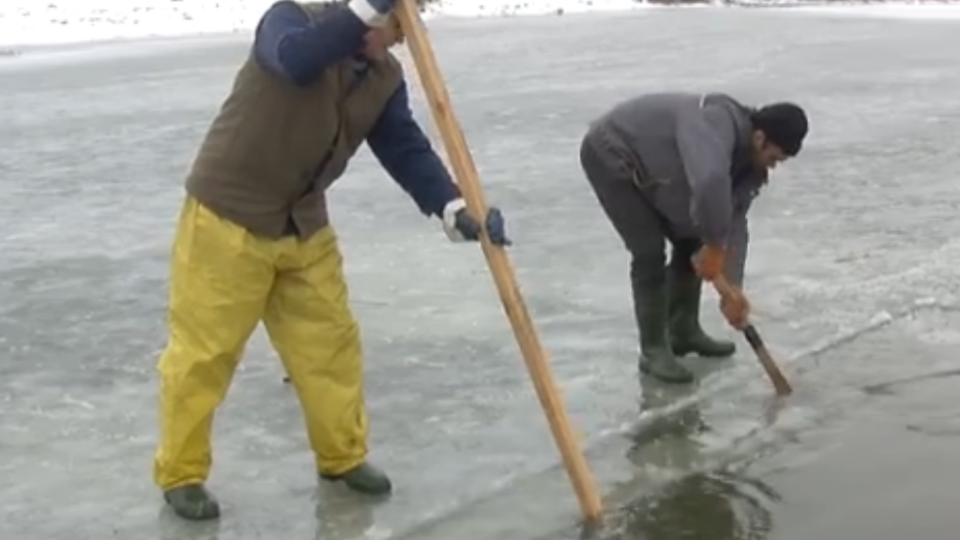 Як у Жидичині готують ополонку для водохрещенських купань. ВІДЕО