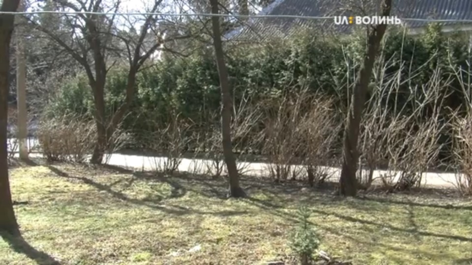 У Луцьку мешканці «воюють» із комунальниками за зелену зону. ВІДЕО