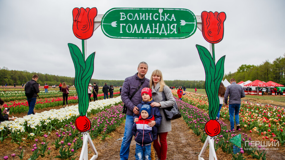 Фестиваль тюльпанів на Волині. ФОТОРЕПОРТАЖ