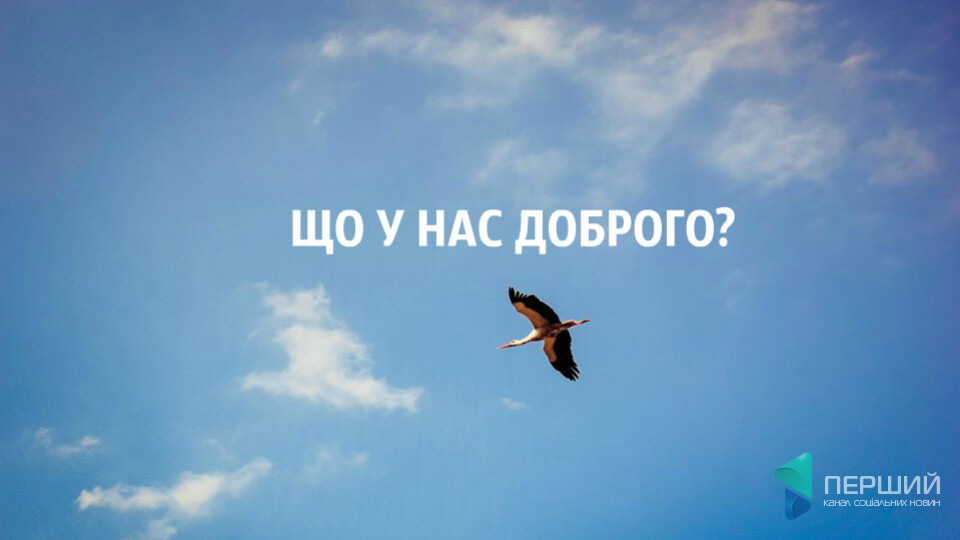Україна в топі, робото-хірург, ноу-хау від митників. ЩО У НАС ДОБРОГО?
