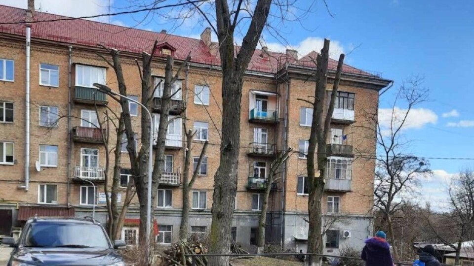 У Луцьку покарають ОСББ, які «кронують» дерева до стовбурів