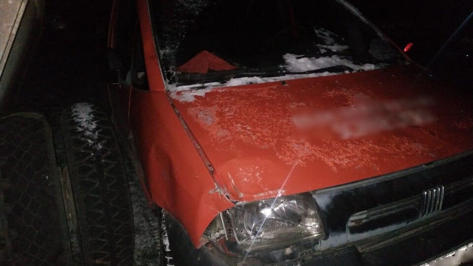 У селі на Волині п'яний водій збив на смерть жінку