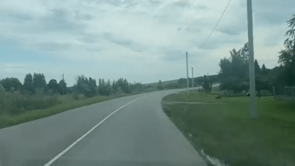 Який вигляд має нещодавно відремонтована дорога у селі Зелене