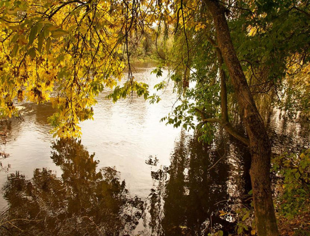 Неймовірні фото осіннього Стиру