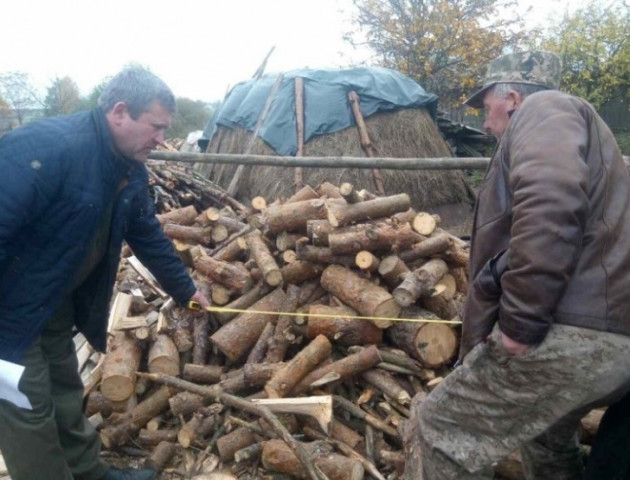 Вкрадений ліс волинянин ховав вдома на подвір'ї