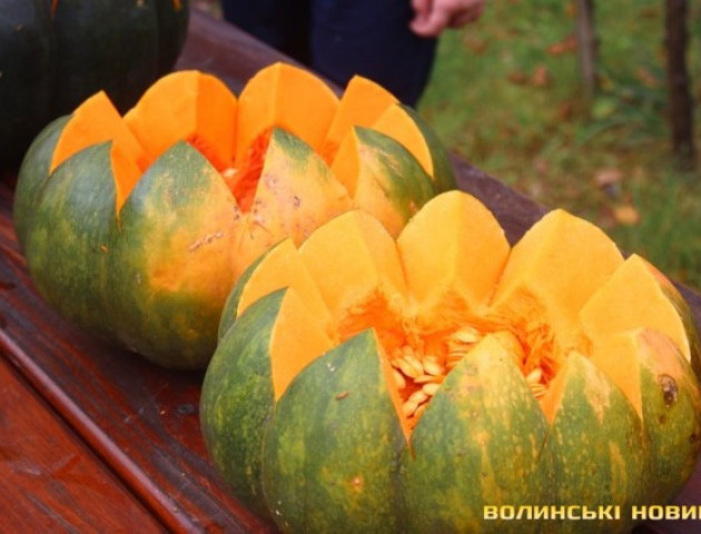 Як минуло гарбузове свято у Луцькому зоопарку. ФОТО