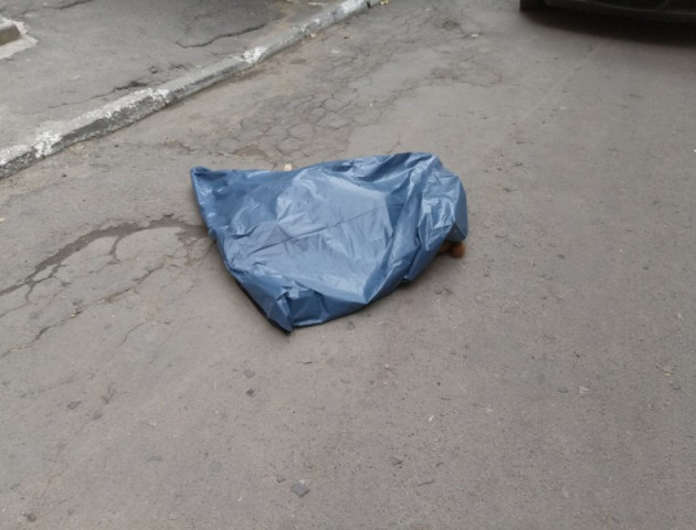 У Луцьку з вікна багатоповерхівки викинули собаку