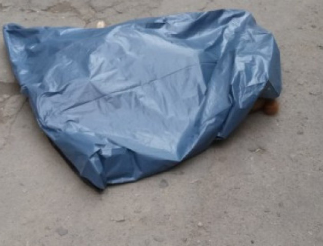 Луцькі патрульні розповіли деталі трагічної історії пса,  якого викинули з вікна