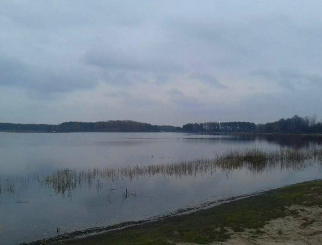 Показали осінню красу волинського озера Люб'язь. ФОТО