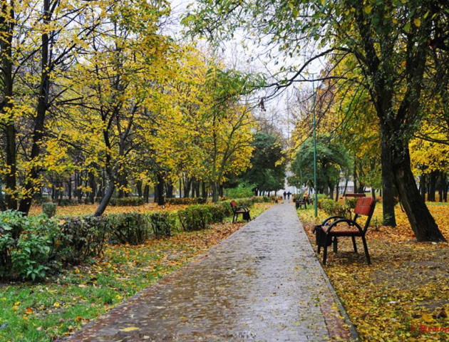 А в Луцьку вже минулись осінні вранішні тумани. ФОТО