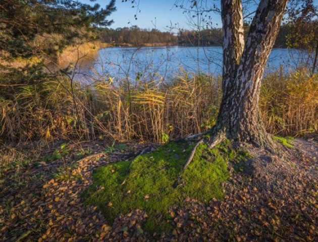Луцький фотограф показав красу осені