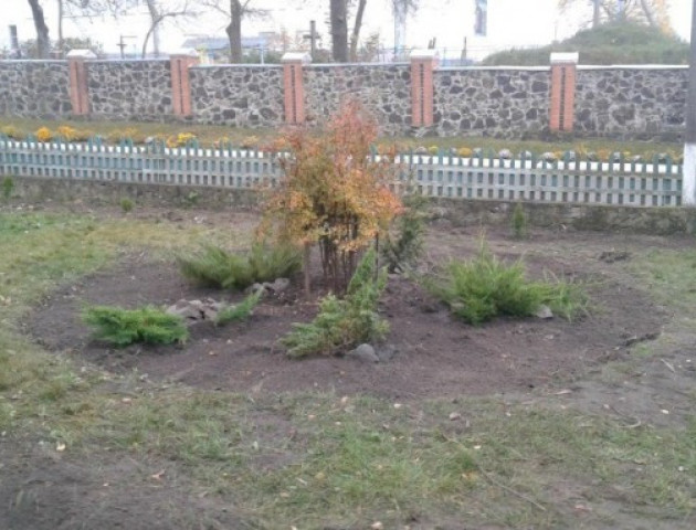 На Волині створили сквер з декоративними рослинами
