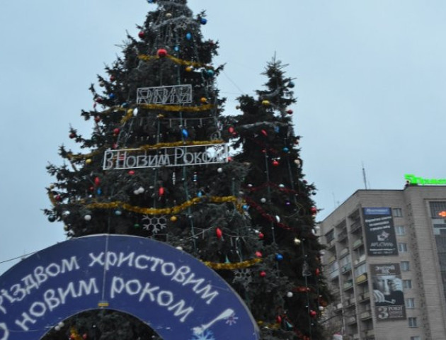 На новорічні ялинки у центрі Луцька потрібно понад півмільйона гривень