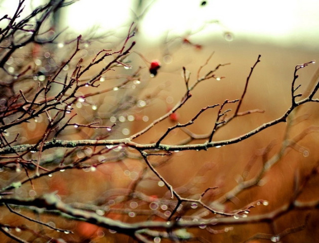 Якою буде погода у Луцьку та області 23 листопада
