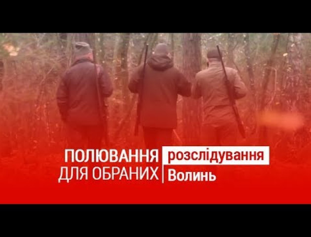 Полювання для обраних: хто стріляв на заповідних територіях «Цуманської пущі». ВІДЕО