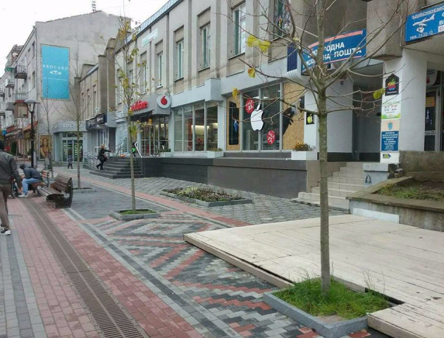Нові дерева у центрі Луцька «прикрасили» рекламою