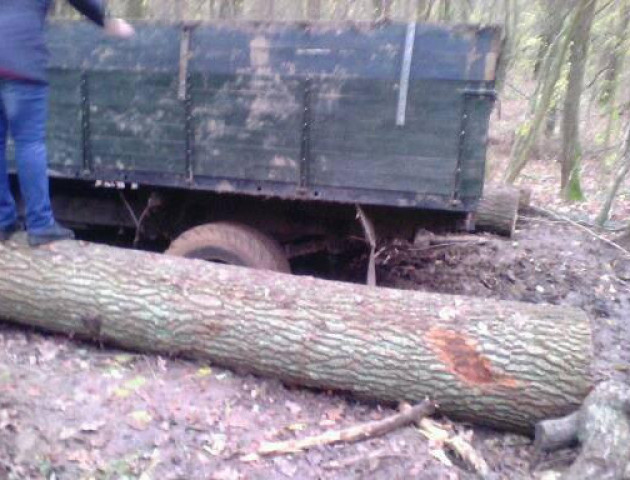 У Луцькому районі в болоті застрягла вантажівка з краденою деревиною