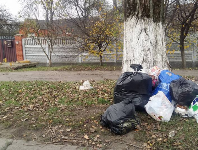 Гори сміття лучани залишають просто неба. ФОТО