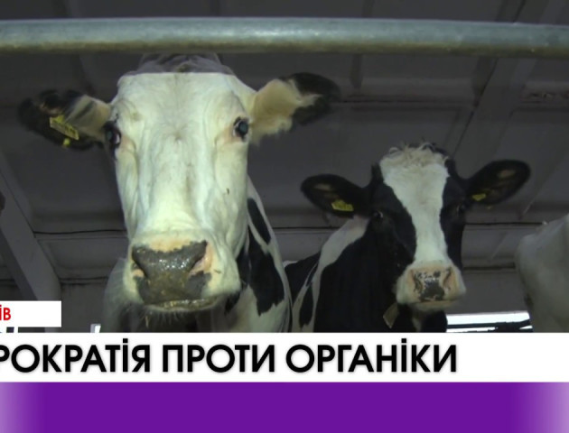 Бюрократія не дає жодному українському виробнику ліцензувати органічну продукцію. ВІДЕО