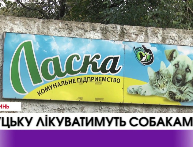 У Луцьку лікуватимуть собаками. ВІДЕО