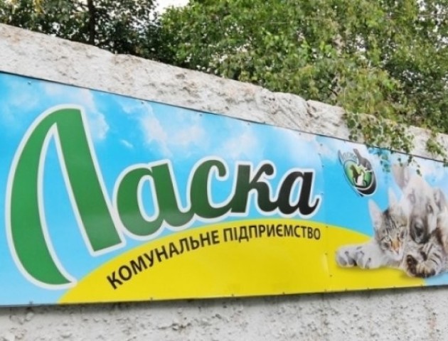 У Луцьку фінансування КП «Ласка» збільшили на понад мільйон гривень