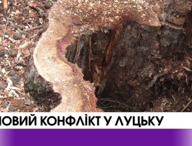 Липовий конфлікт у Луцьку. ВІДЕО