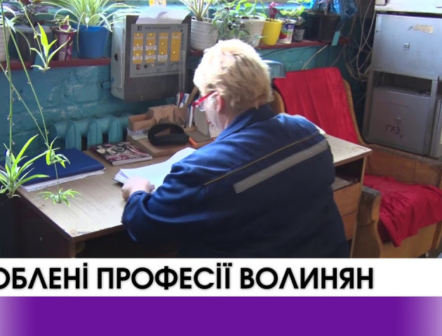 Де і за скільки працюють волиняни? ВІДЕО