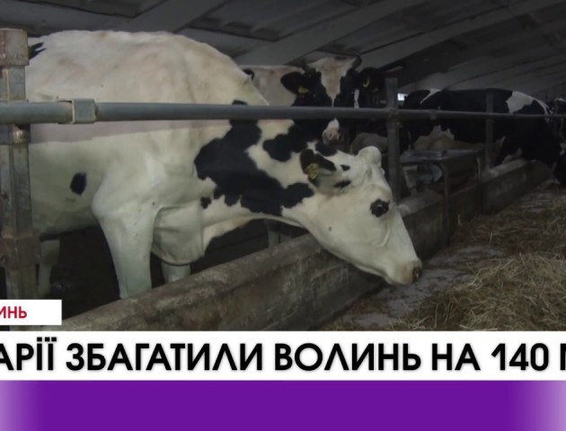 Волинські аграрії сплатили до держбюджету майже 140 мільйонів гривень. ВІДЕО