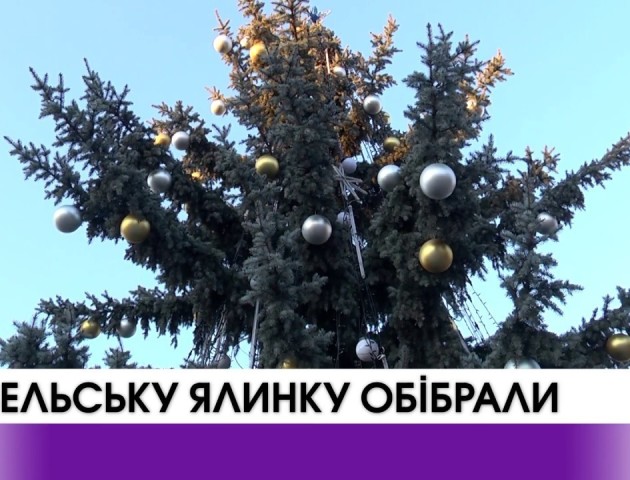 Ковельську ялинку обібрали. ВІДЕО