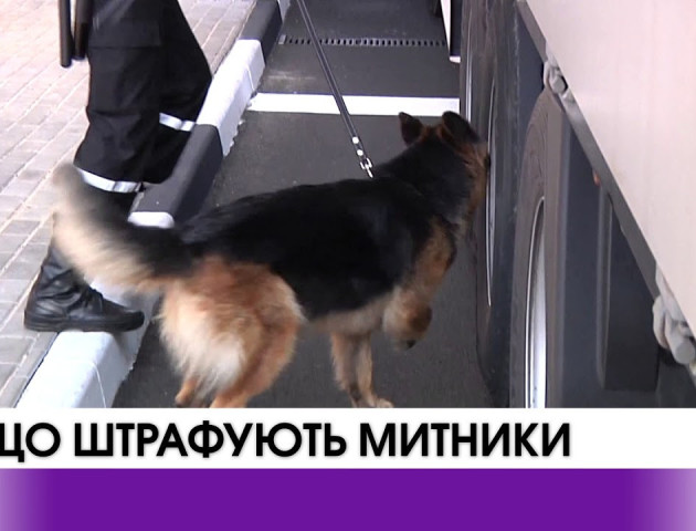 За що штрафують митники? ВІДЕО