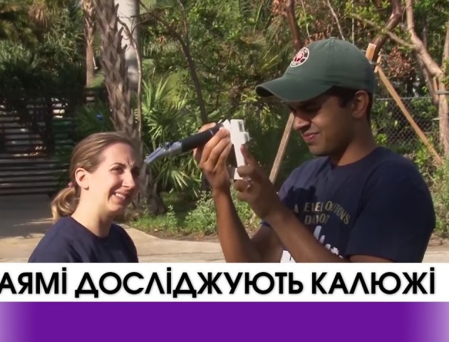 Мешканці Маямі досліджують калюжі. ВІДЕО